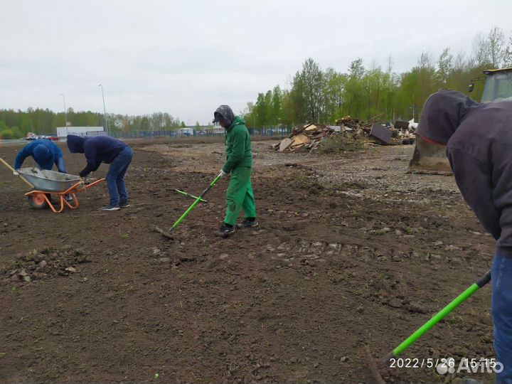 Разнорабочий. Ежедневные выплаты