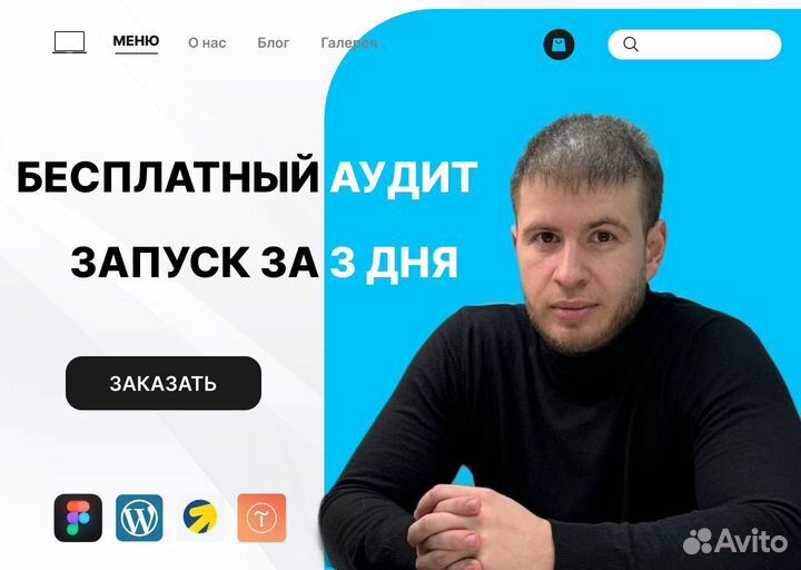 Профессиональный Авитолог. Продвижение на Авито