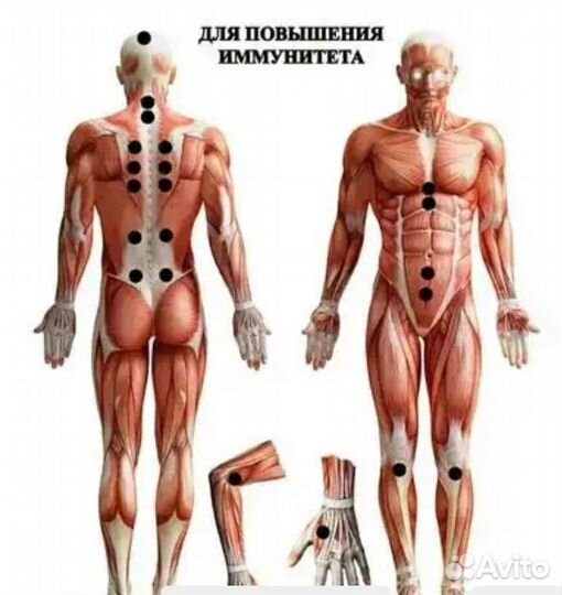 Обучение Хиджама