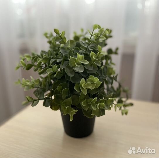 Искусственные растения IKEA