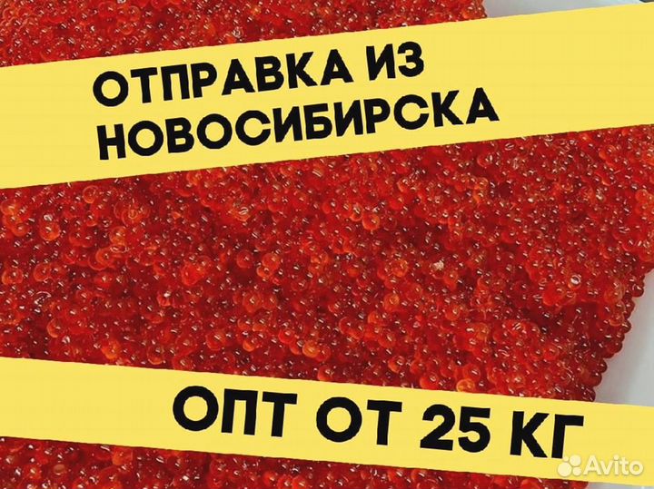 Красная икра нерки, улов 2023 года