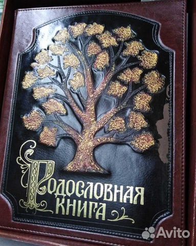 6.Родословная книга