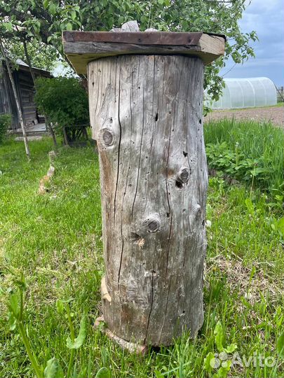 Колода для пчёл