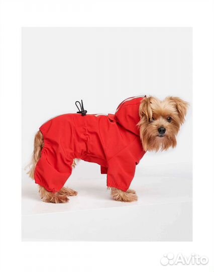 Дождевик-комбинезон для собак зоозавр 40