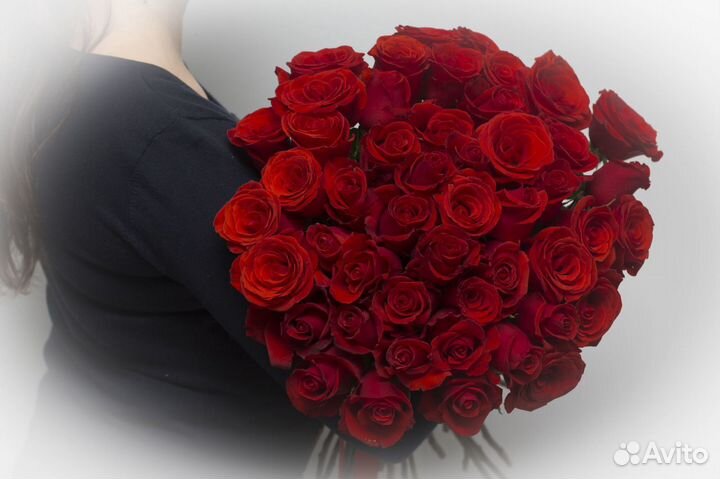 Букет Розы красные 59 шт Explorer Элитные