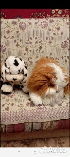 Волк, заяц и другие мягкие игрушки