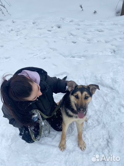 Красотка Джейна бесплатно