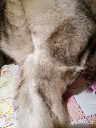 Шапка из полярного волка размер 62 размер