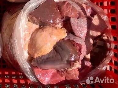 Говядина ливер и мясо для собак