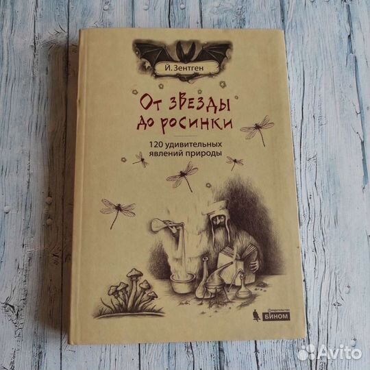 Редкие книги Мадонна