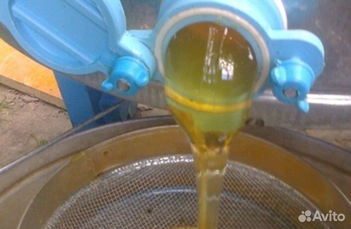 Мёд натуральный Алтайский опт min 16kg