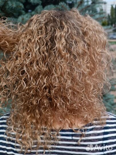 Биозавивка