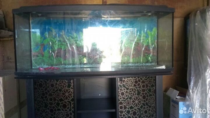 Аквариум