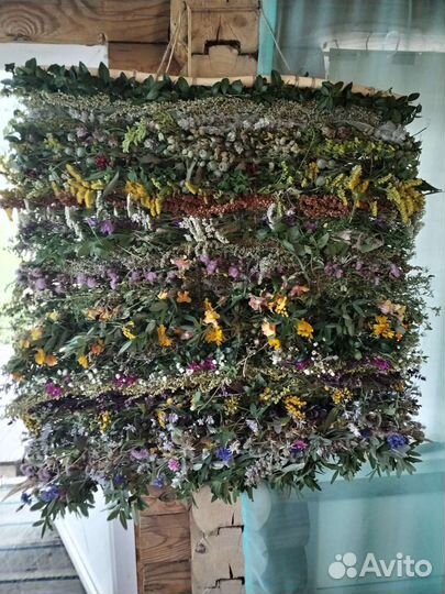 Живой ковёр