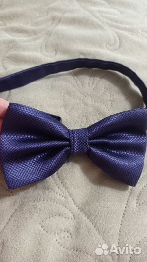 Бабочка мужская