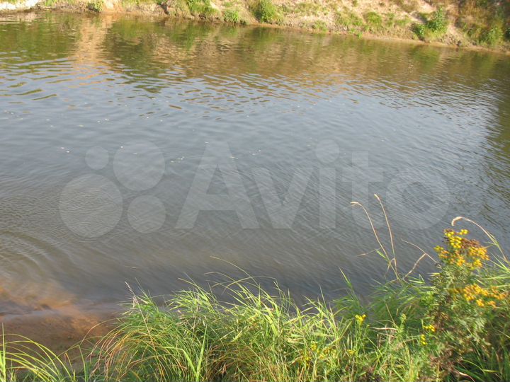 Участок 55 сот. (ИЖС)