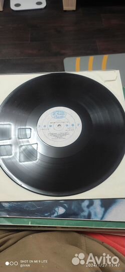 Виниловые пластинки