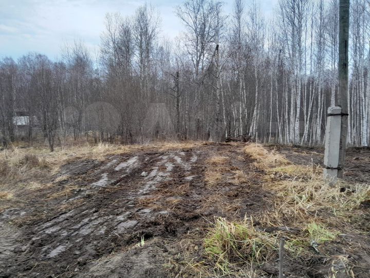 Участок 9 сот. (СНТ, ДНП)