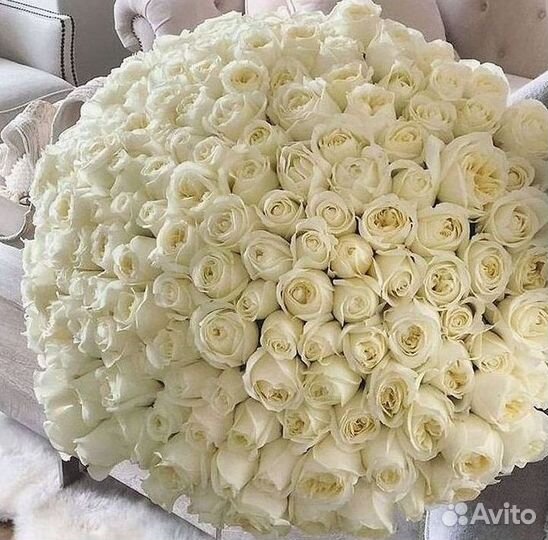 Высокие розы Гигантские розы Доставка цветов