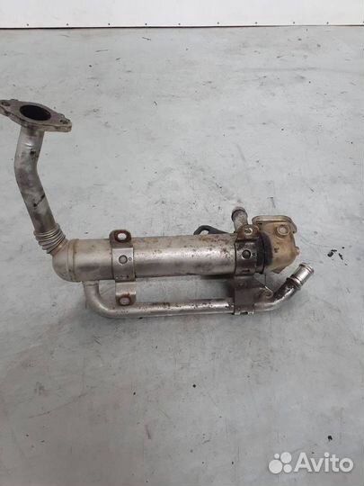 Радиатор EGR Volkswagen Passat B6 2008 03G131512