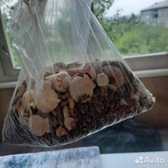 Аквариум и все необходимые к нему принадлежности