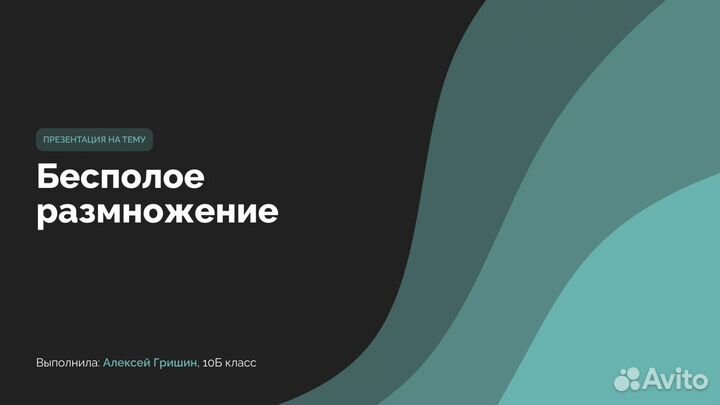 Презентации на заказ