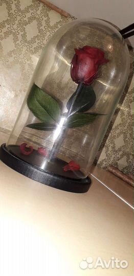 Живая роза В колбе
