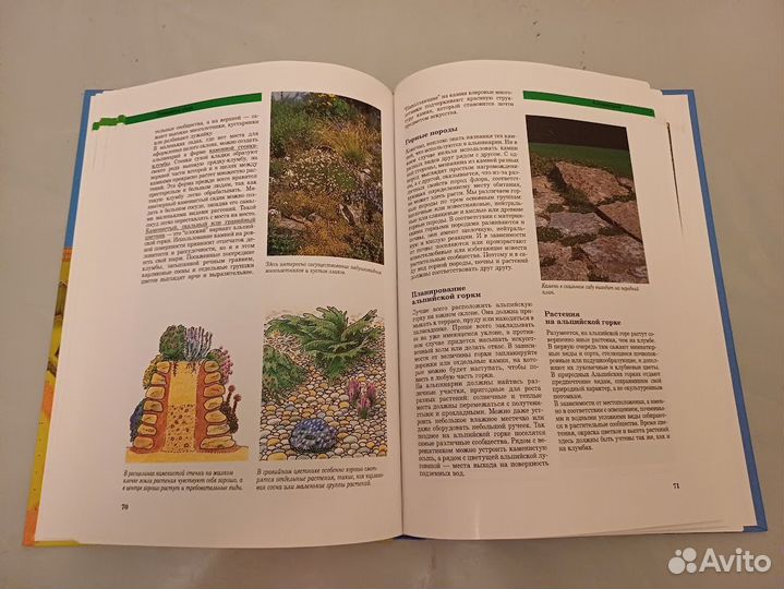 Грайнер Карин. Современное оформление сада