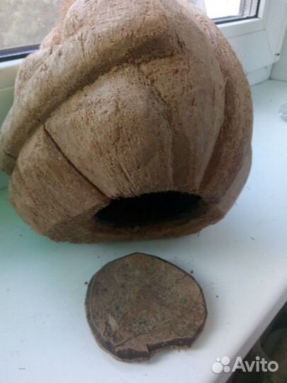 Шкатулка из большого кокосового ореха