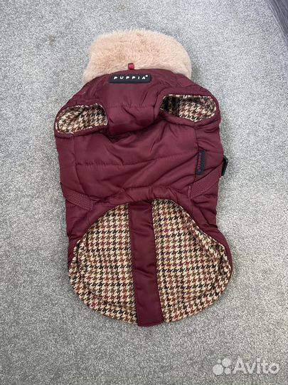 Одежда для маленьких пород собак