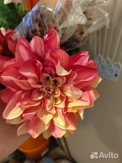 Цветы и головы цветов под заказ