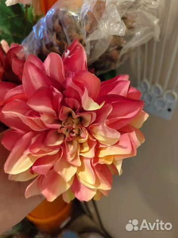 Цветы и головы цветов под заказ