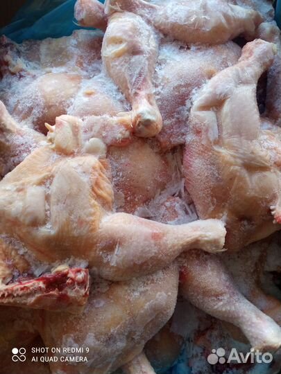 Окорочка куриные