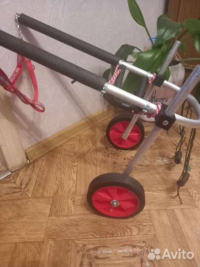 Инвалидная коляска для собак