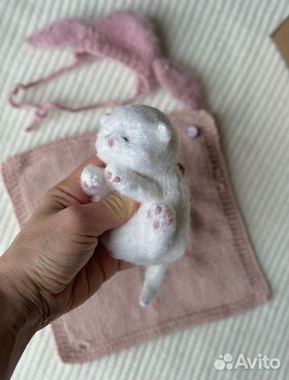 Спящий котенок
