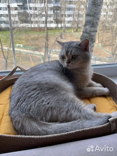 Корзина для животных лежанка