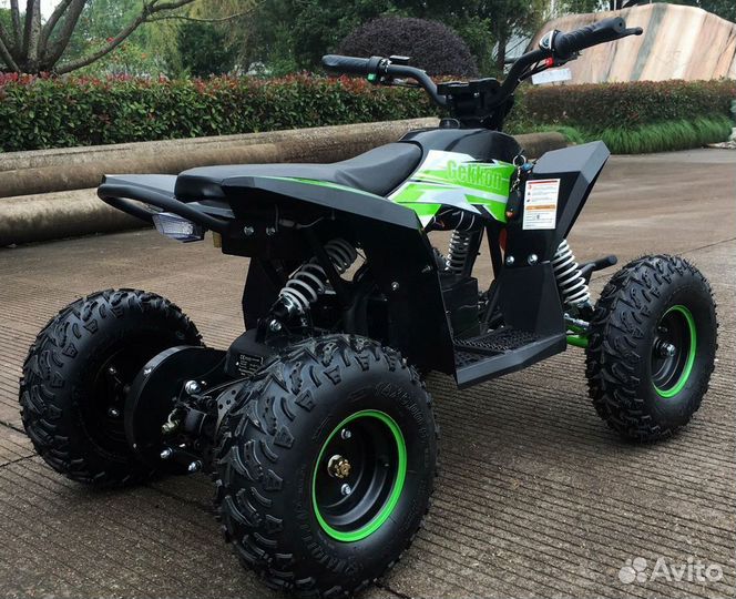 Детский квадроцикл Motax gekkon 1300W