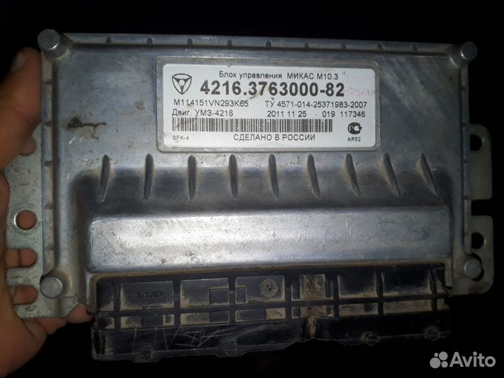 Эбу мозги газель