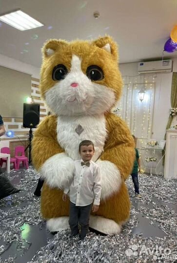 Мишка Тедди/Аниматоры/Кот Мурсель/Ростовые куклы