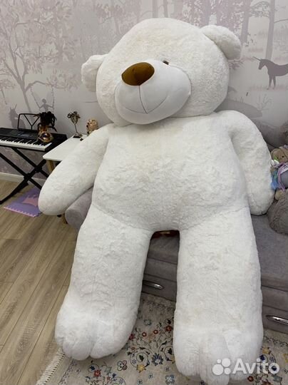 Плюшевый медведь