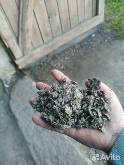 Шрот подсолнечный