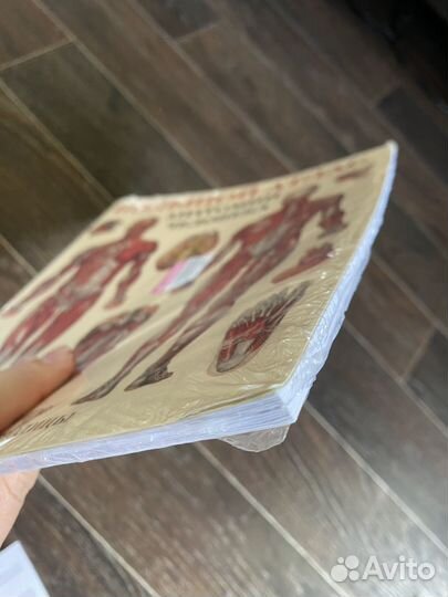 Большой атлас анатомии человека