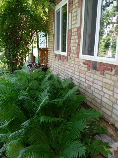 Дача 70 м² на участке 8 сот.