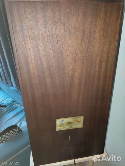 Акустическая система