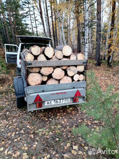 Продам дрова сухие