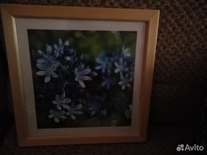 Большая картина