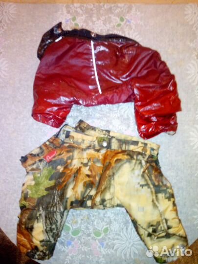 Зимний комбинезон для животных