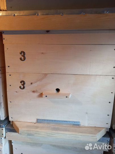 Улей для пчёл