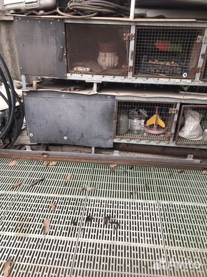 Клетка для кроликов с маточником