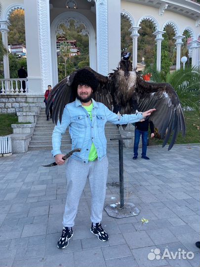 Экскурсии по Абхазии на Мерседесе 19 мест